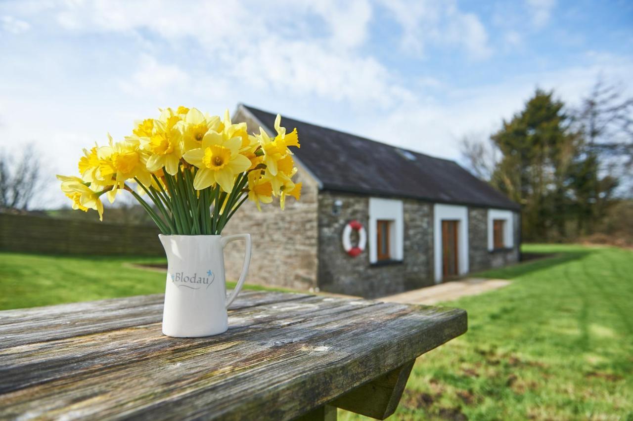 Penuwch Boathouse- Lakeside Rural Cottage Ideal For Families With Indoor Heated Pool Carmarthen Exterior foto